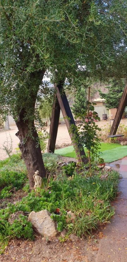Bed and Breakfast Stella Sulcitana Gonnesa Exterior foto