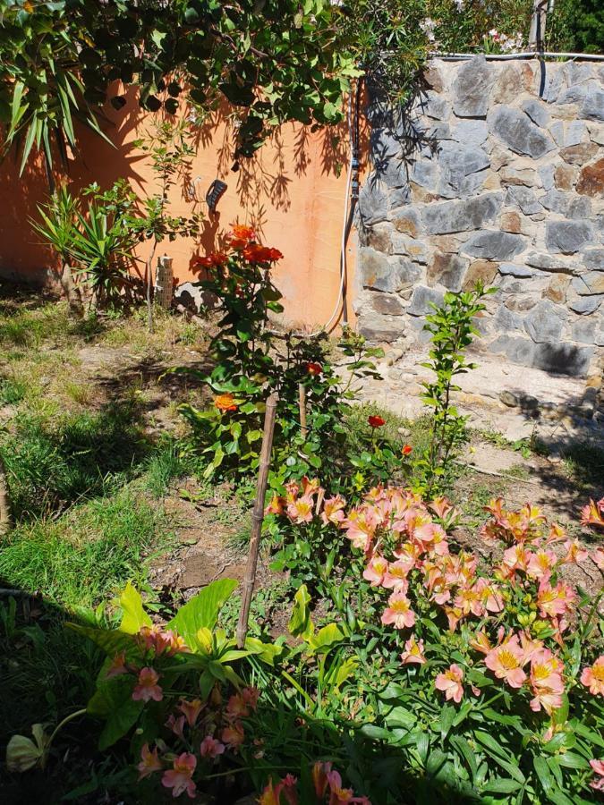 Bed and Breakfast Stella Sulcitana Gonnesa Exterior foto